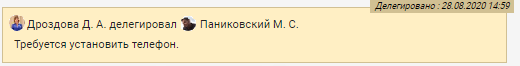 Пример элемента управления "Информация о делегировании"